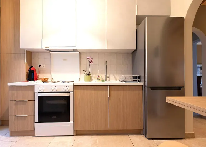 公寓 Unique Seaview In Chalkidiki 卡尼奥提